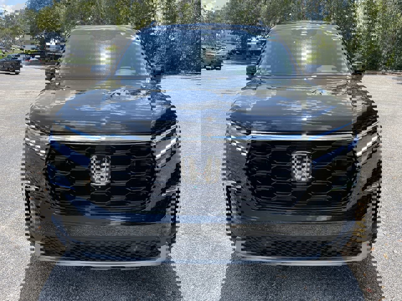 New 2025 Honda Pilot Touring image 10