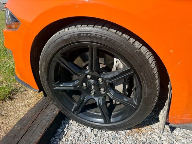Used 2020 Ford Mustang GT Premium w/ Equipment Group 401A RWD image 11