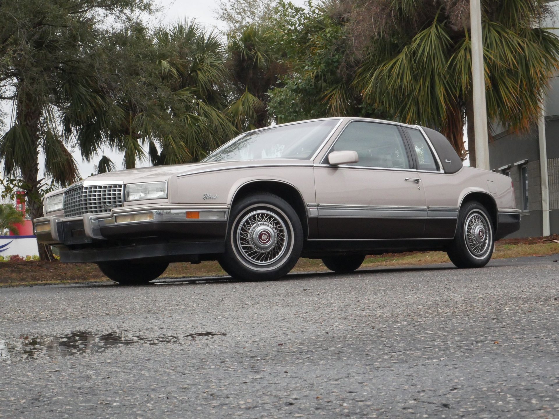 Used 1988 Cadillac Eldorado Coupe image 11