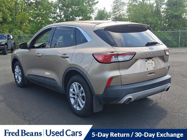 Used 2020 Ford Escape SE AWD/4WD image 10