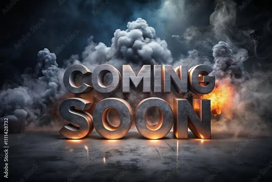 Used 2017 Chevrolet Express 2500 LS image 1