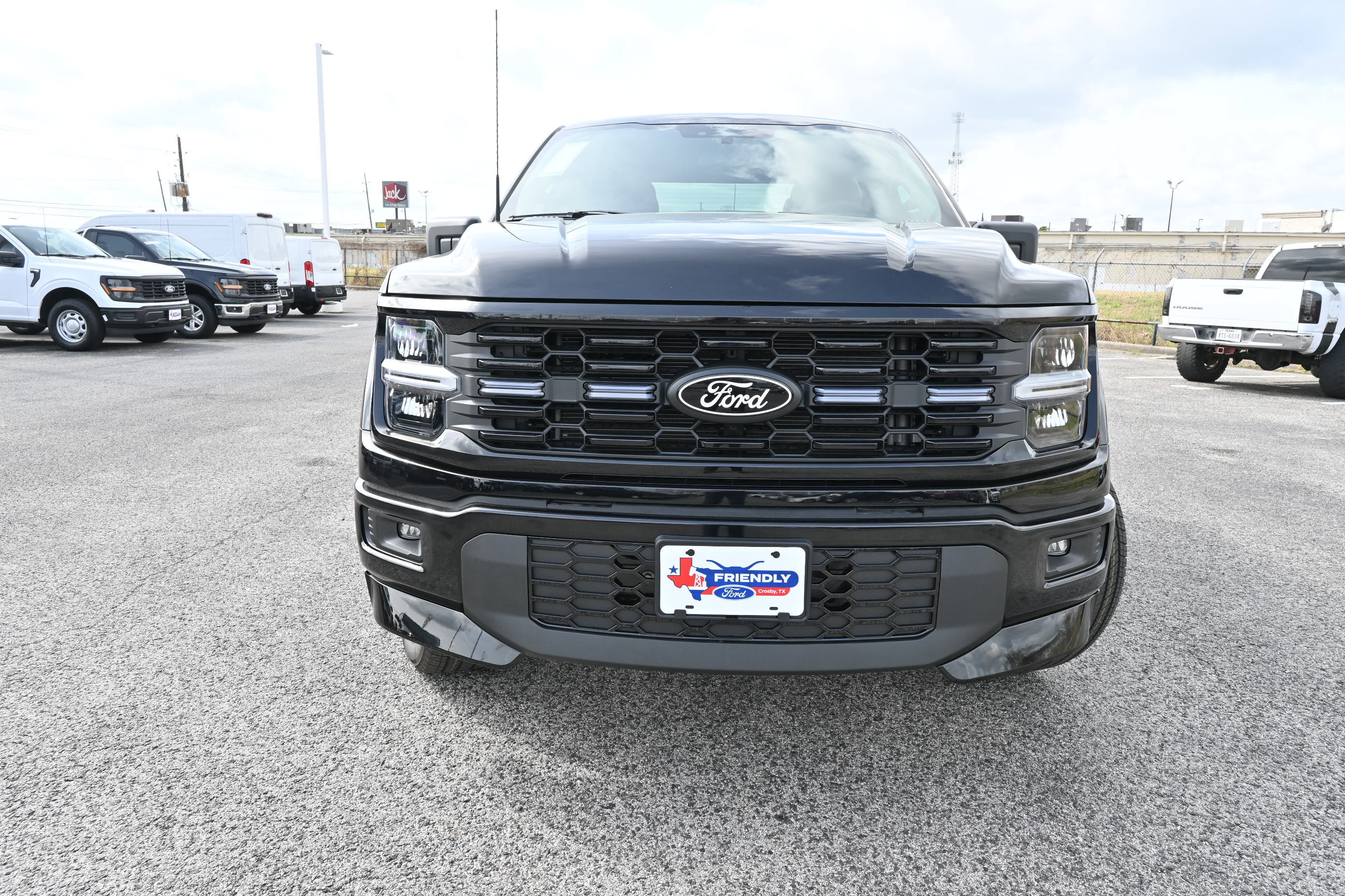 New 2026 Ford F150 STX w/ F-150 LOBO Package image 9