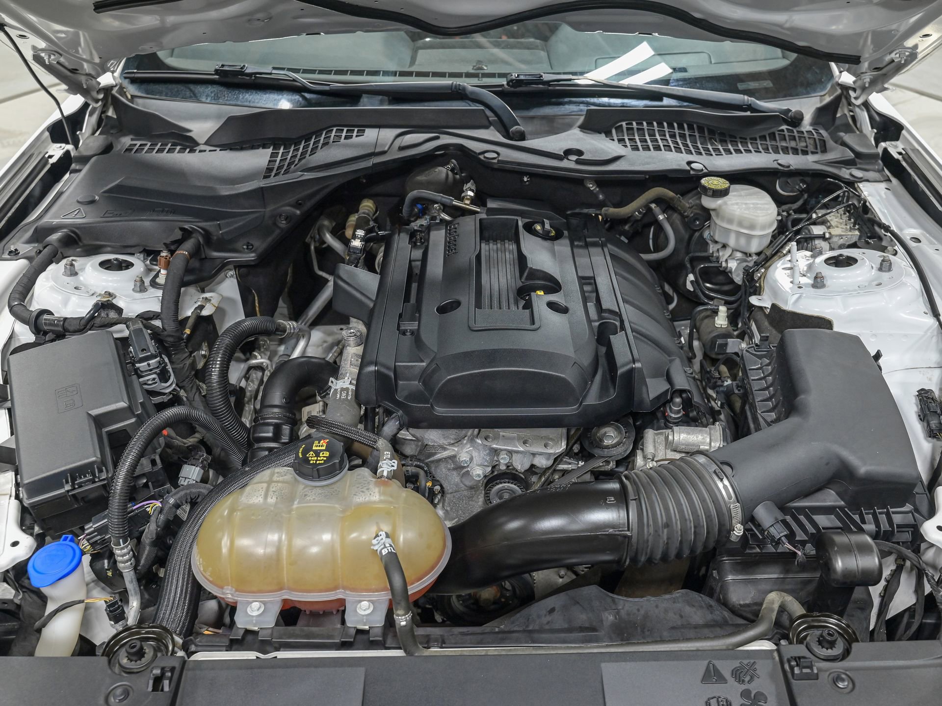 Used 2020 Ford Mustang Coupe RWD image 11