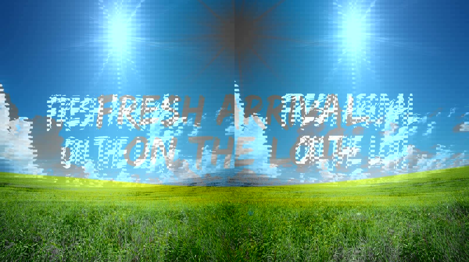 Used 2023 Volvo XC40 B4 Ultimate image 2