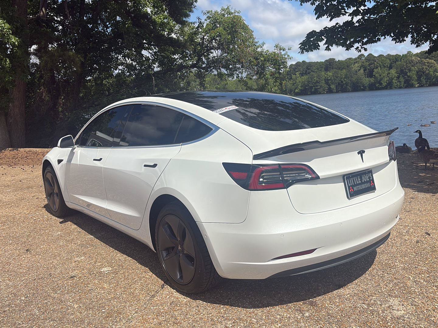 Used 2019 Tesla Model 3 Standard Range RWD image 8