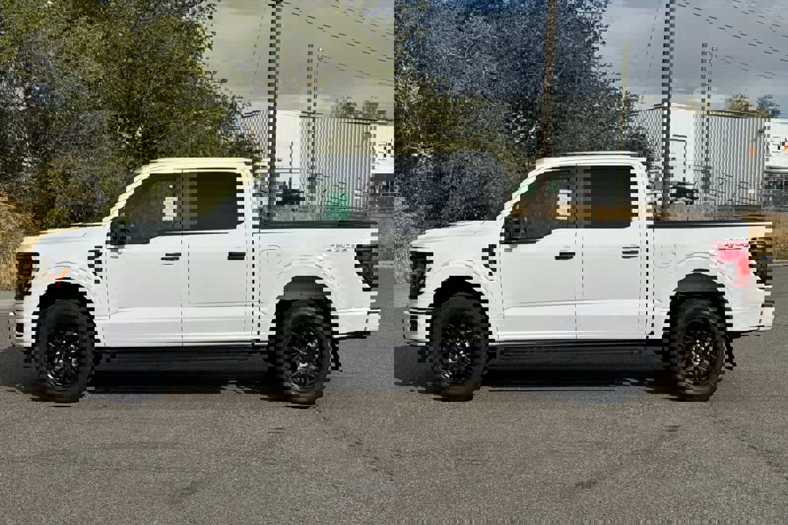 New 2025 Ford F150 STX w/ STX Black Appearance Package image 5