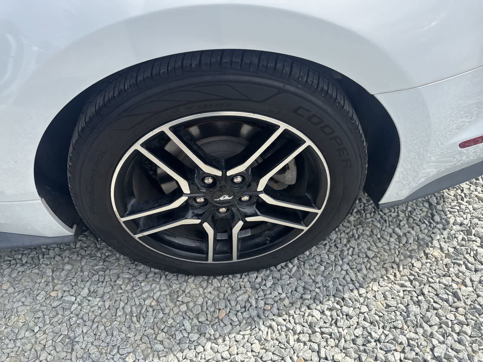 Used 2019 Ford Mustang Premium image 10