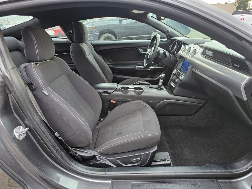 Used 2019 Ford Mustang Coupe w/ Equipment Group 101A image 12