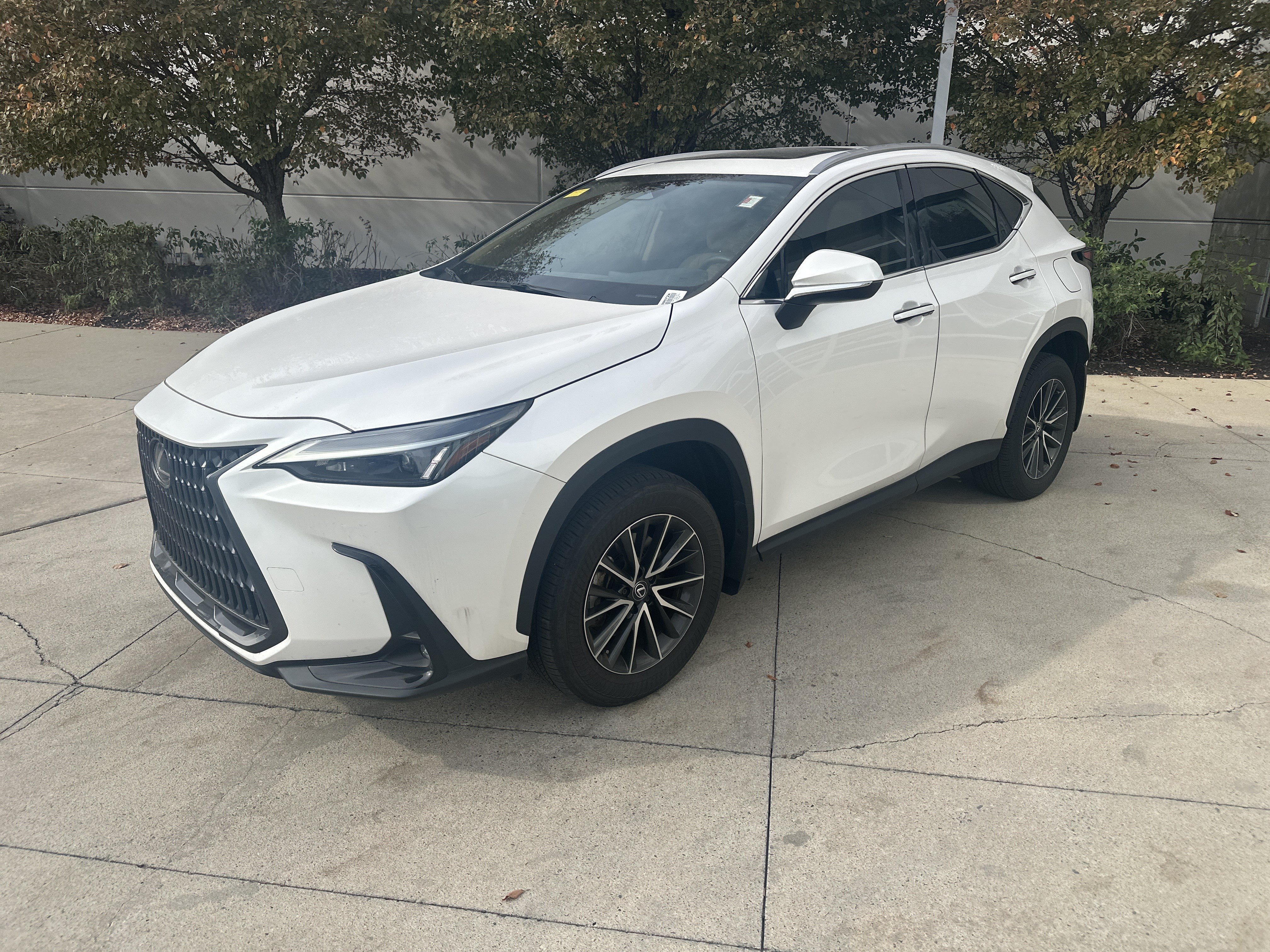 Used 2024 Lexus NX 350 AWD w/ Cold Area Package image 3