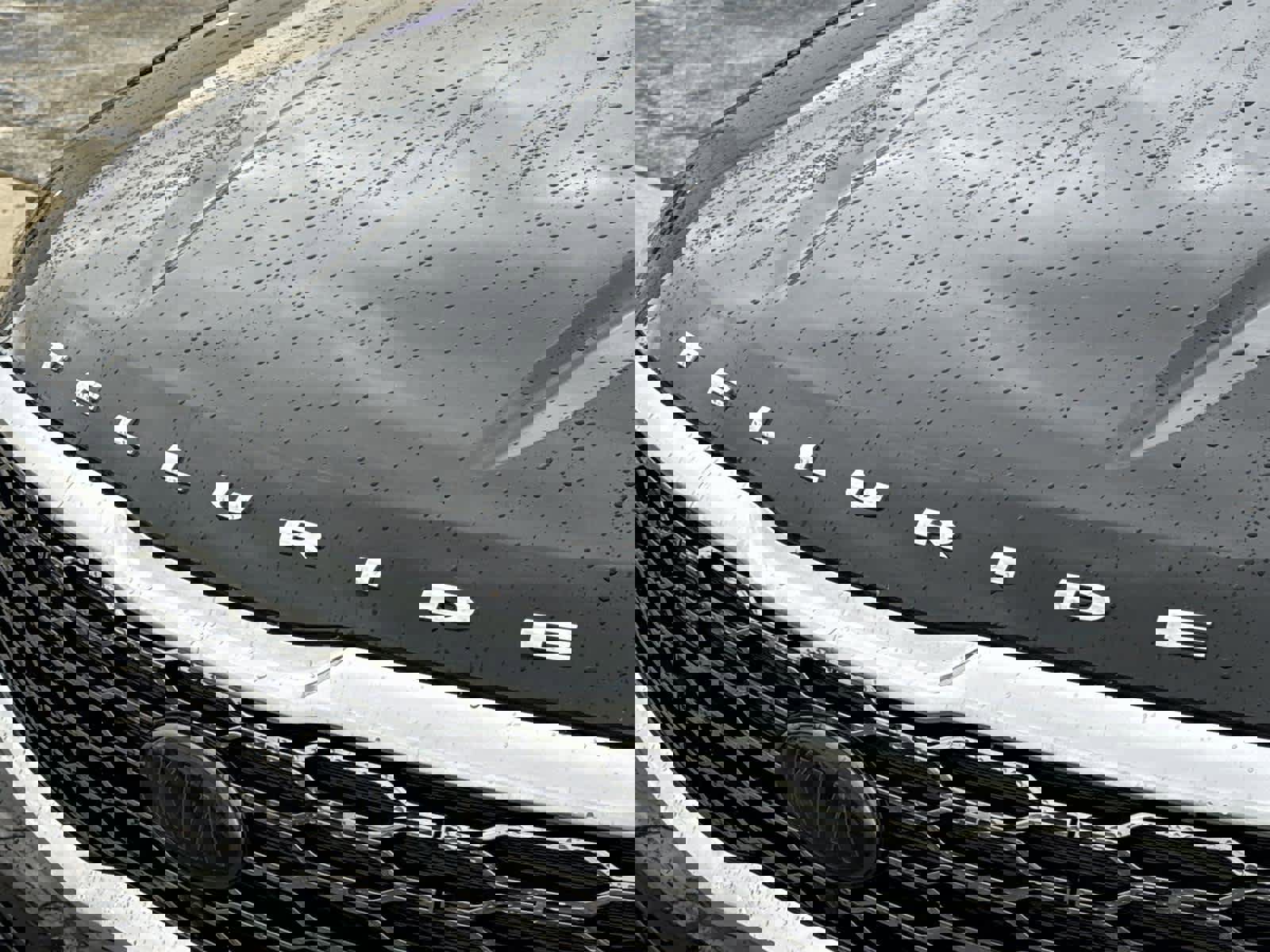 Used 2021 Kia Telluride SX w/ SX Prestige Package image 11