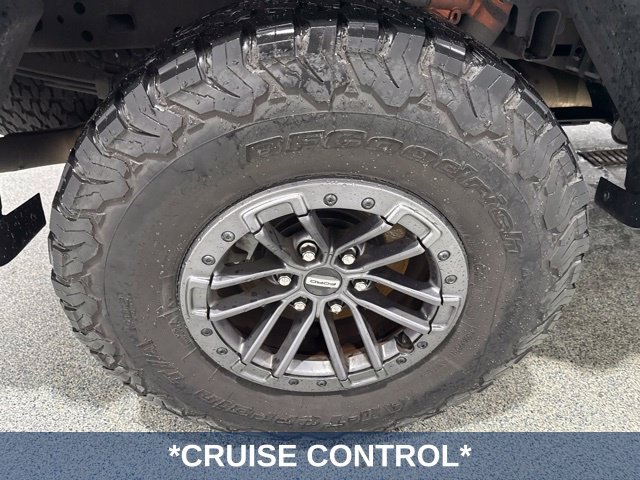 Used 2019 Ford F150 Raptor w/ Equipment Group 802A Luxury AWD/4WD image 9