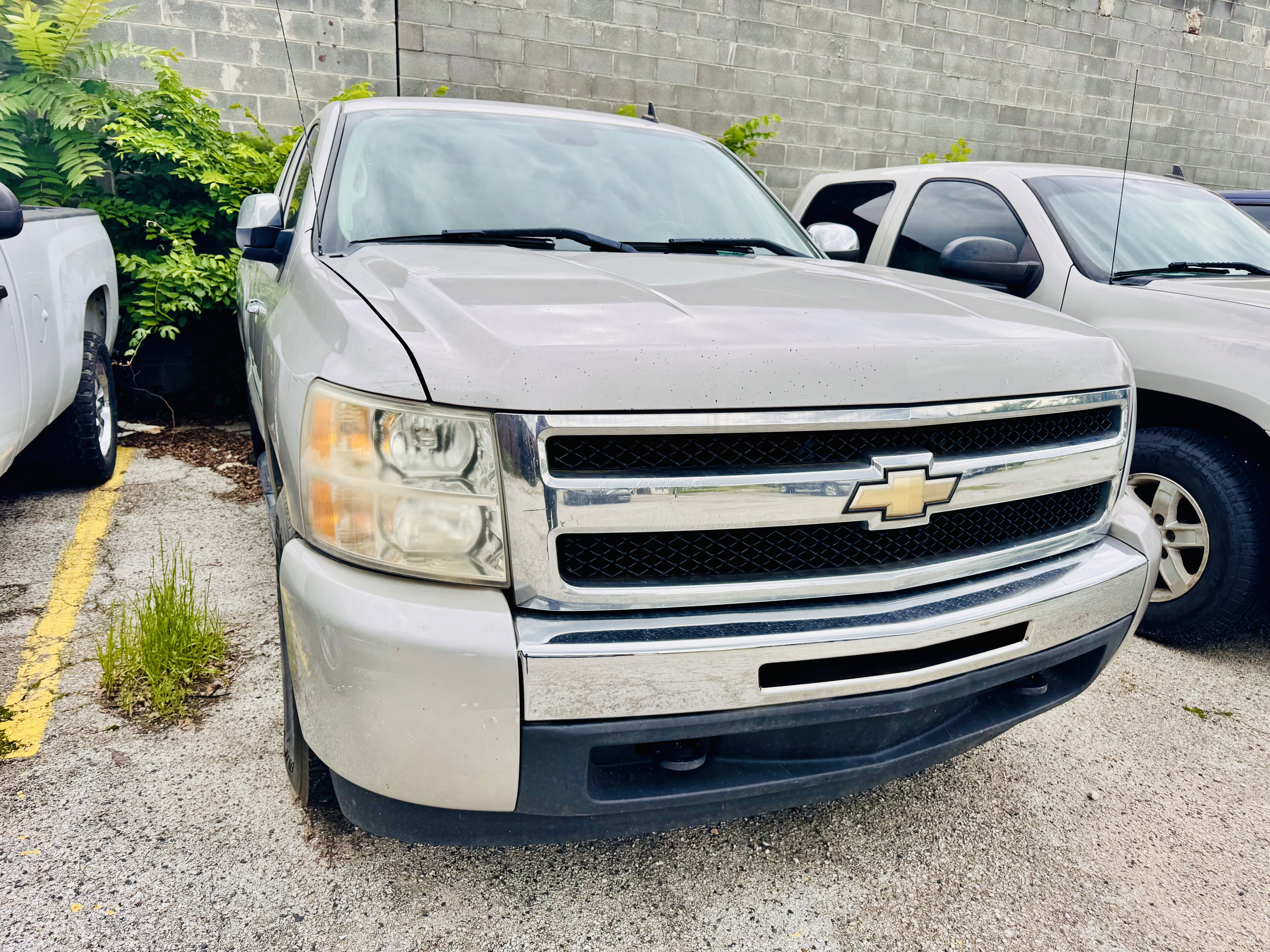 Used 2009 Chevrolet Silverado 1500 LT w/ Texas Edition image 3