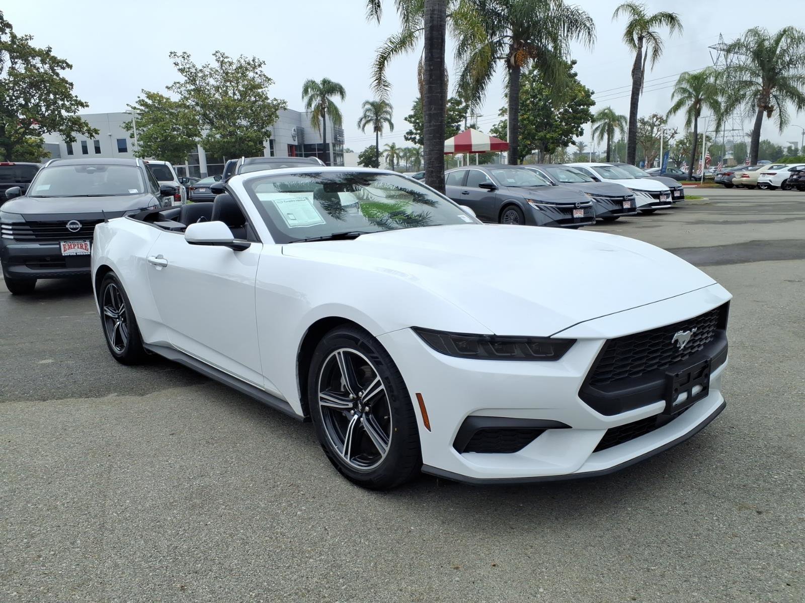 Used 2025 Ford Mustang Premium RWD image 4