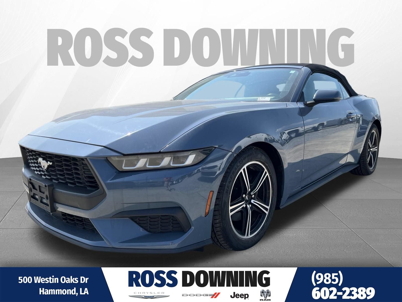 Used 2024 Ford Mustang Premium RWD image 1