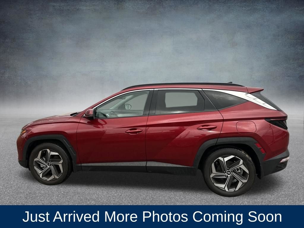 Used 2024 Hyundai Tucson Limited video 2