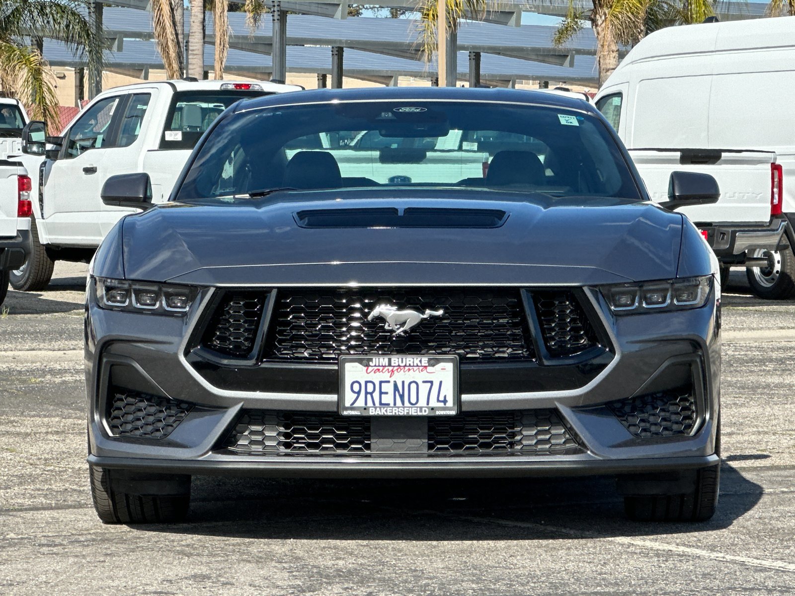 Certified 2025 Ford Mustang GT Premium image 9