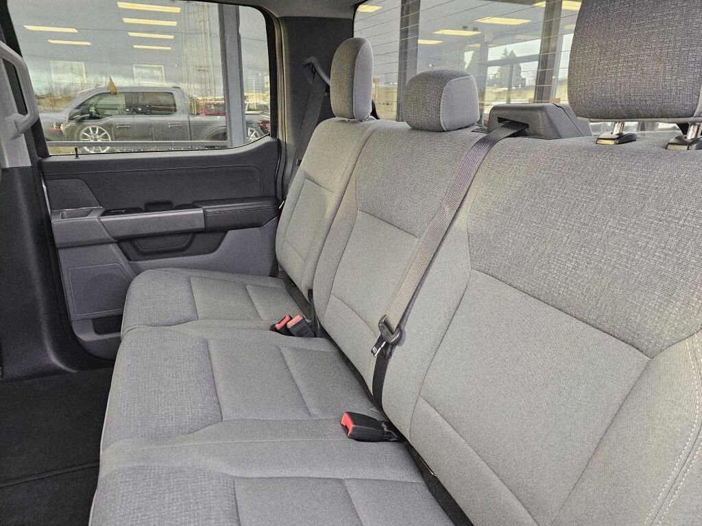 Certified 2025 Ford F150 XLT w/ Equipment Group 301A Standard image 13