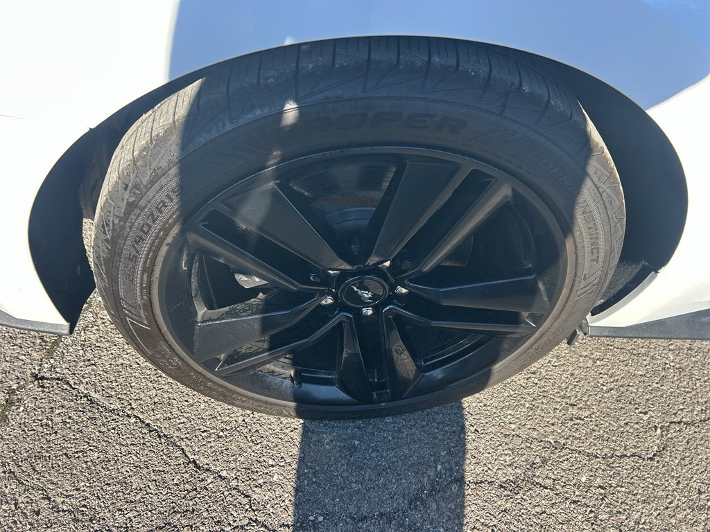 Used 2016 Ford Mustang Premium w/ Ecoboost Performance Package image 12