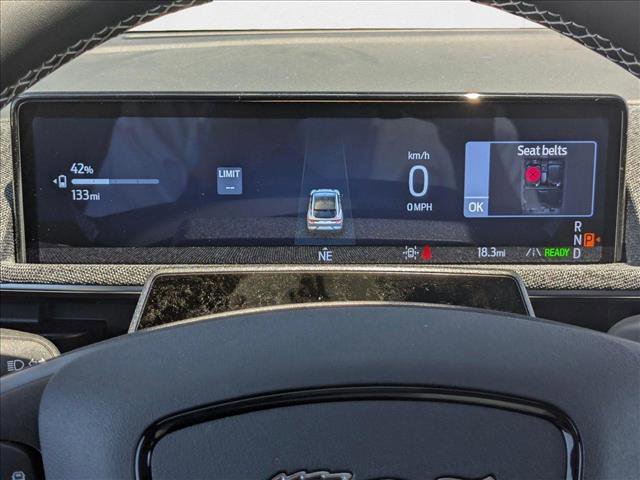 New 2025 Ford Mustang Mach-E GT w/ Interior Protection Package image 10