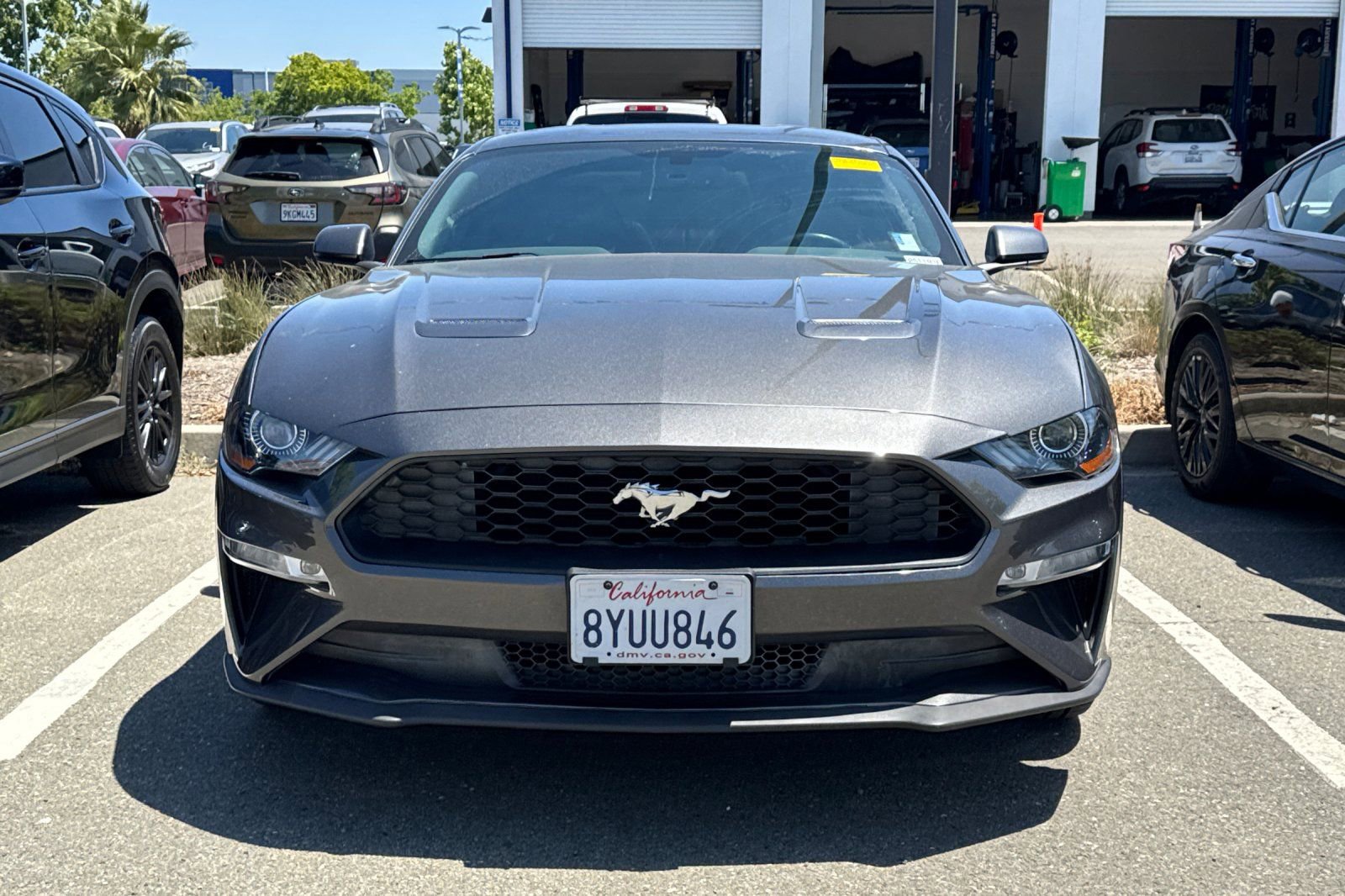 Used 2018 Ford Mustang Premium w/ Ecoboost Performance Package RWD image 3