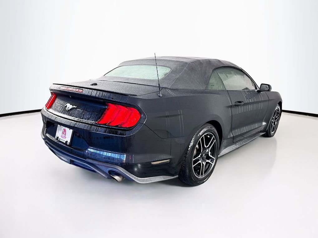 Used 2019 Ford Mustang Premium image 10