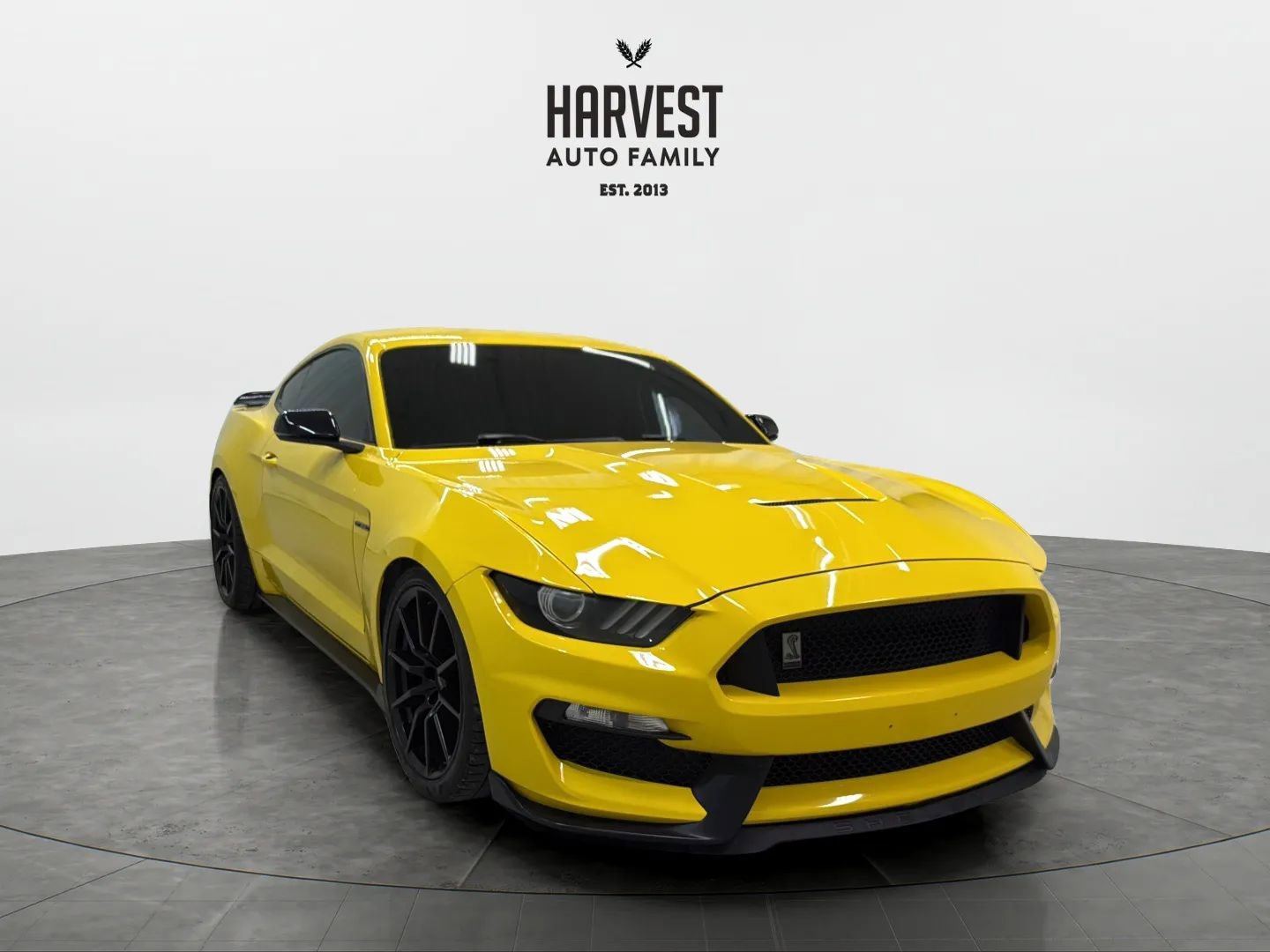 Used 2016 Ford Mustang Shelby GT350 w/ Technology Package RWD image 10