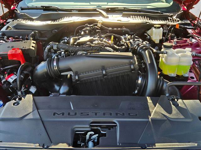 New 2026 Ford Mustang Premium w/ Mustang Nite Pony Package image 16