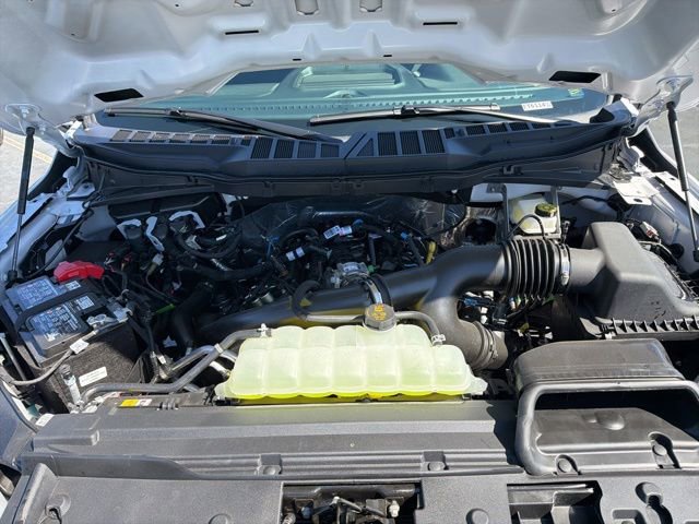 New 2026 Ford F150 STX w/ Equipment Group 200A image 9