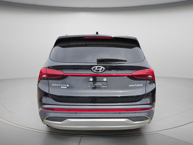 Certified 2023 Hyundai Santa Fe Blue image 5