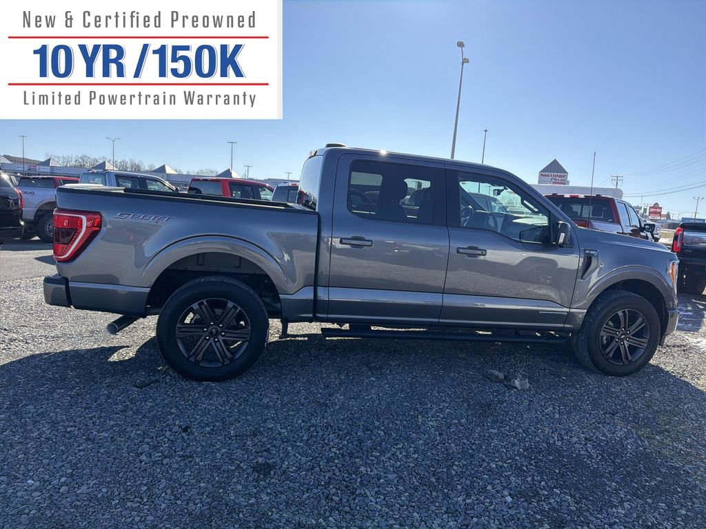 Used 2023 Ford F150 XLT w/ Equipment Group 302A High image 5