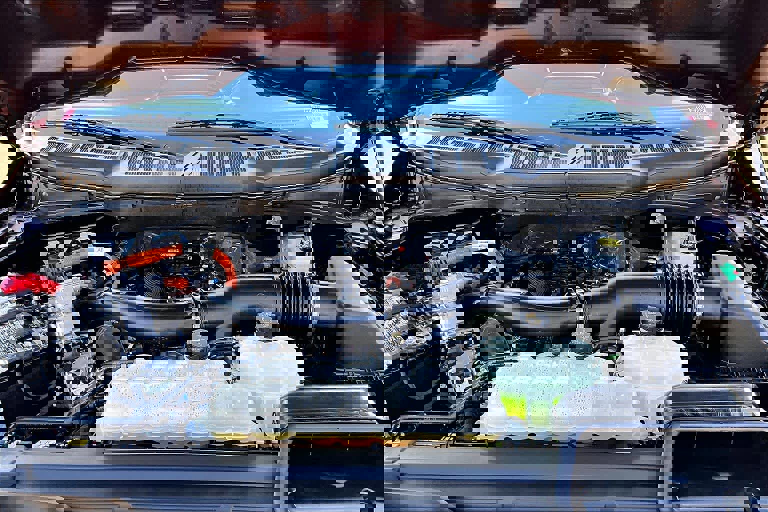 Used 2025 Ford F150 XLT w/ Equipment Group 301A Standard image 30