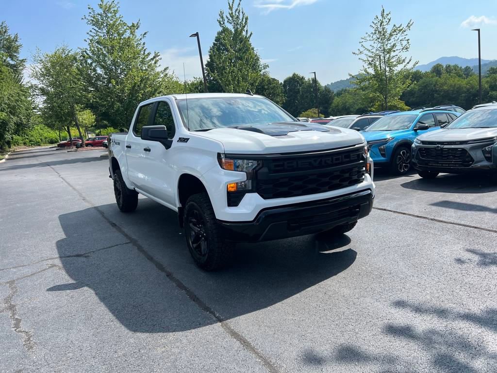 New 2025 Chevrolet Silverado 1500 Custom Trail Boss w/ Realtree Special Edition video 1