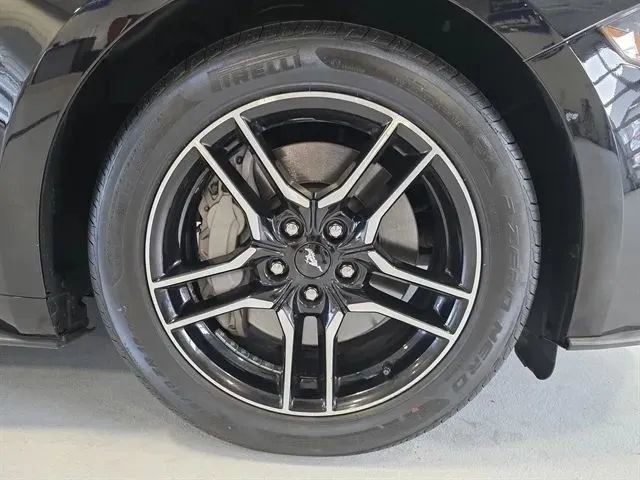 Used 2019 Ford Mustang GT Premium w/ Equipment Group 401A image 9