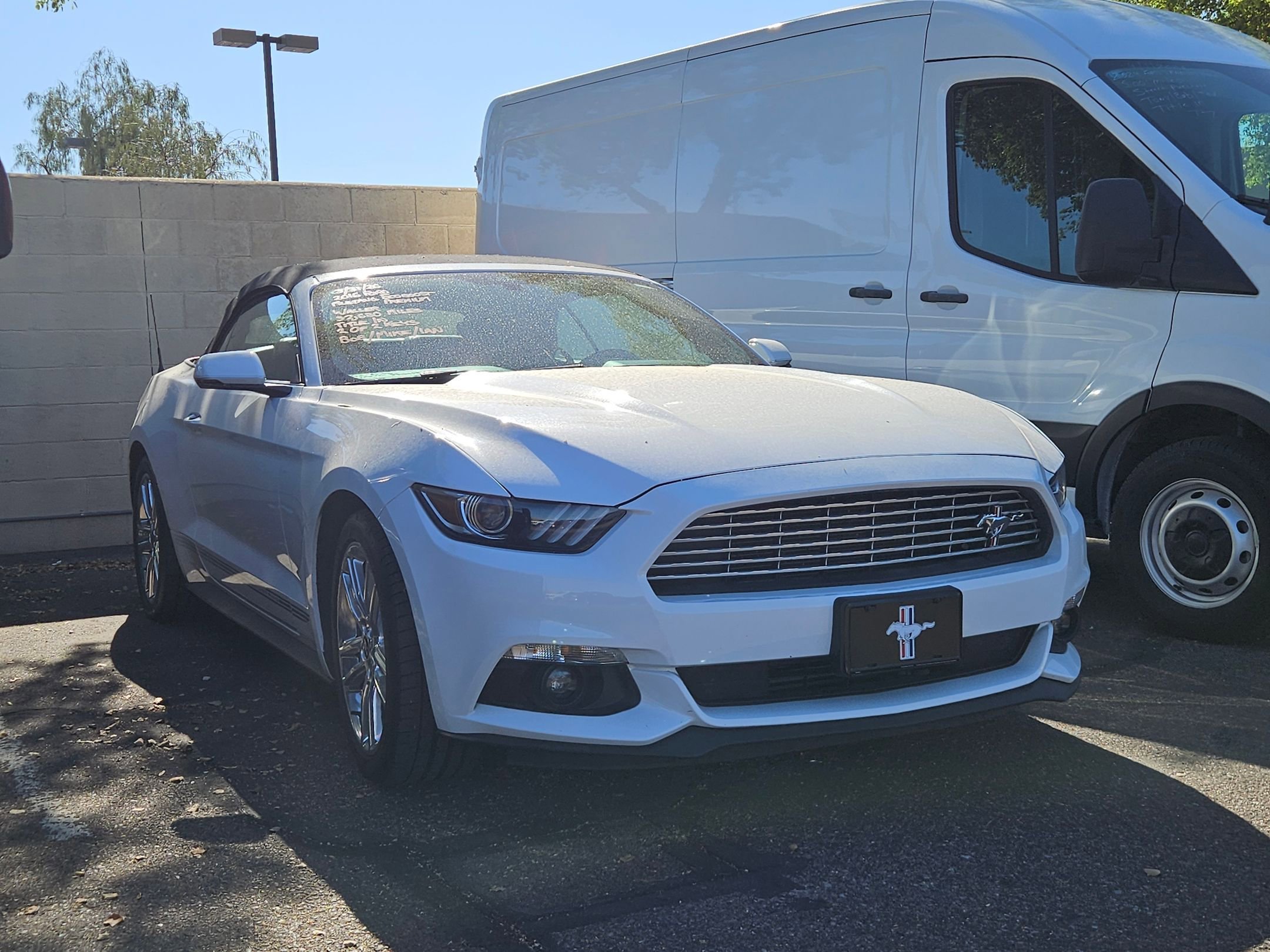 Used 2016 Ford Mustang Premium w/ Equipment Group 201A image 3