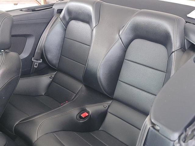 Used 2019 Ford Mustang Premium RWD image 11