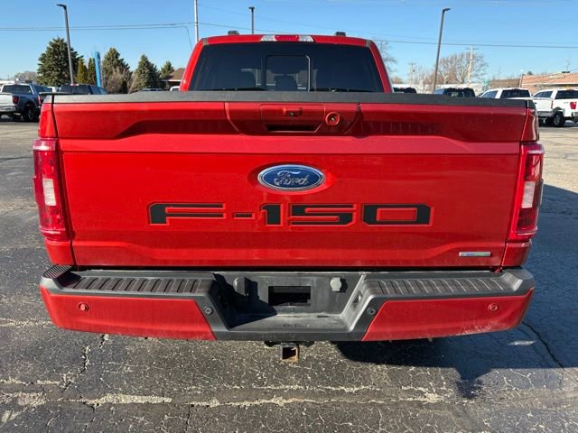 Used 2023 Ford F150 XLT w/ Equipment Group 302A High image 6