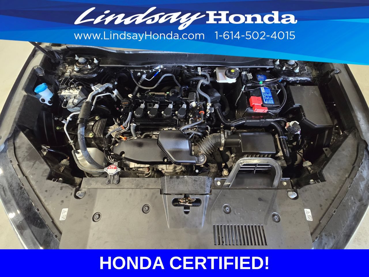 Certified 2025 Honda CR-V EX-L image 25