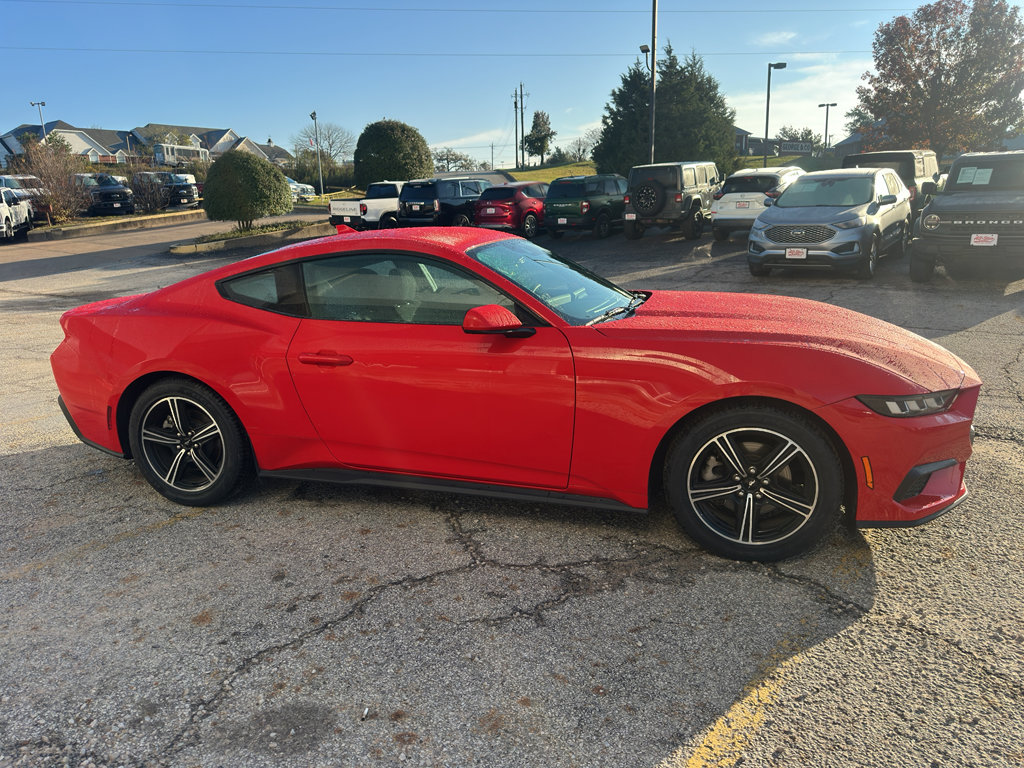 Used 2024 Ford Mustang EcoBoost image 4