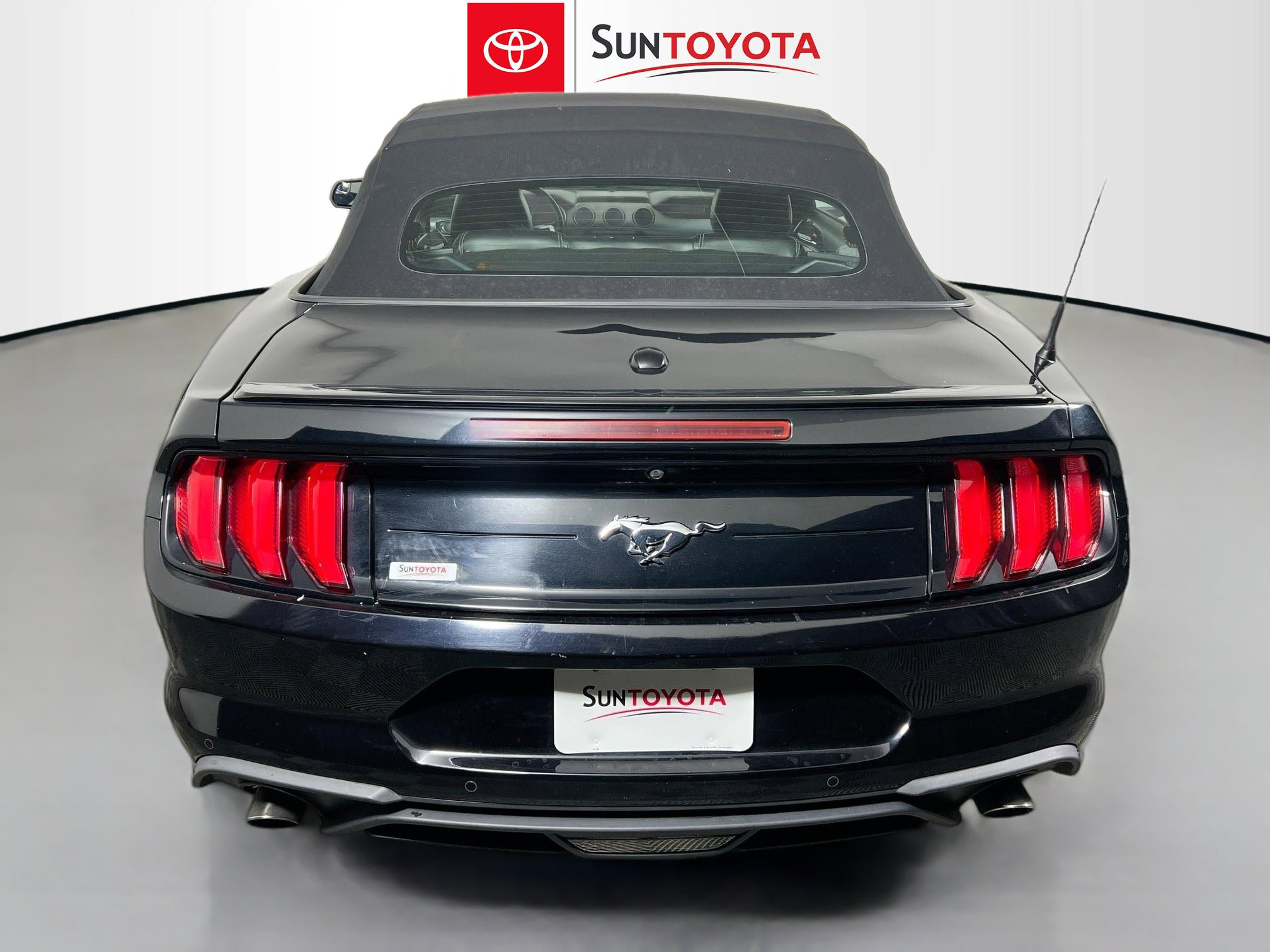 Used 2019 Ford Mustang Premium image 5
