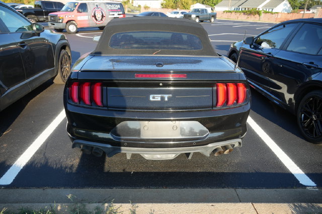 Used 2019 Ford Mustang GT Premium w/ Equipment Group 401A RWD image 18