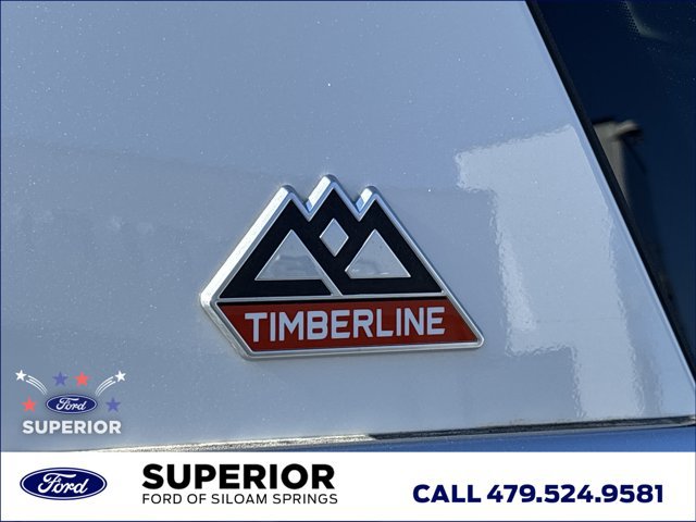 Used 2022 Ford Expedition Timberline AWD/4WD image 16