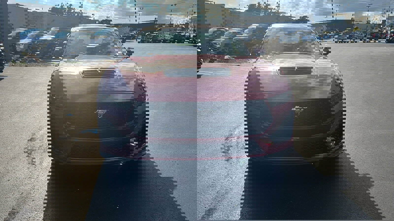 New 2025 Ford Mustang GT w/ GT Performance Package image 9