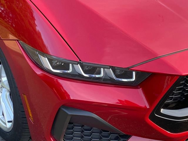 Used 2024 Ford Mustang GT Premium image 4