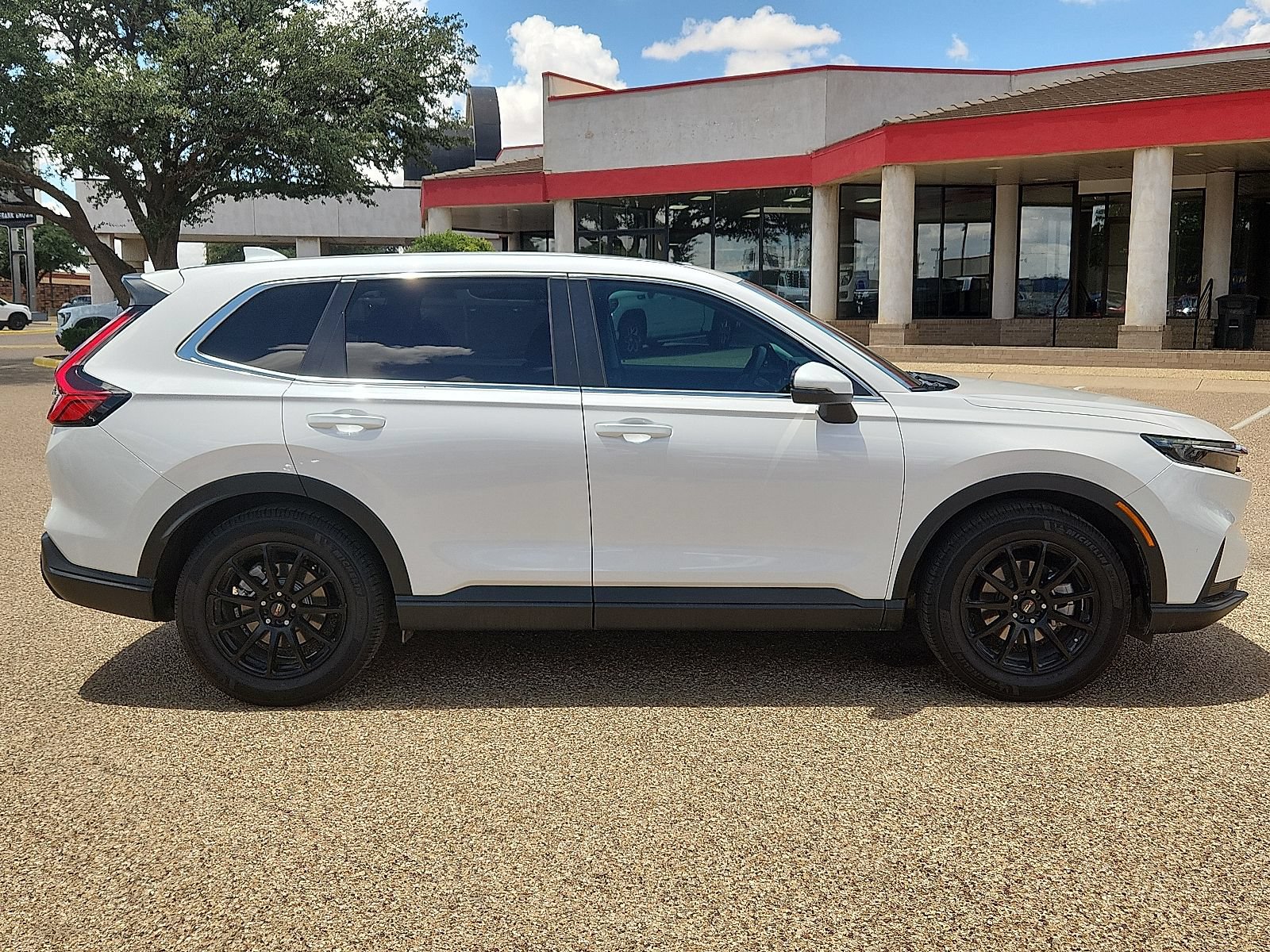 Used 2024 Honda CR-V EX image 5