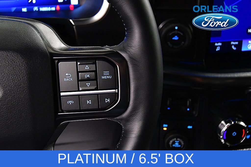 Used 2025 Ford F150 Platinum AWD/4WD image 22