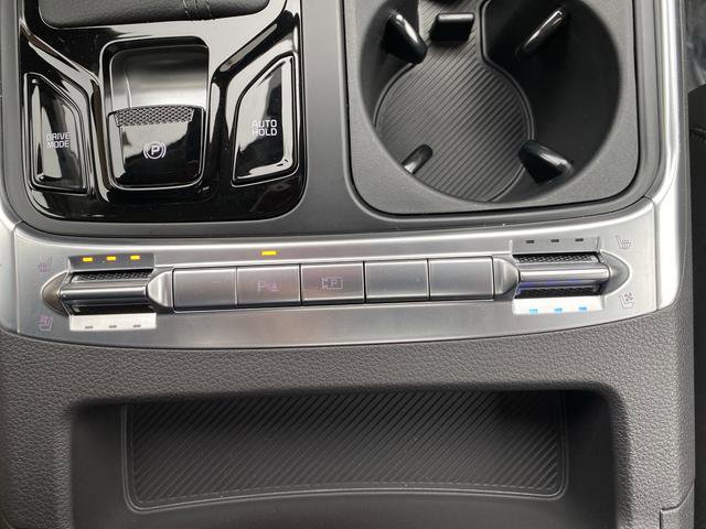 New 2026 Kia Carnival SX image 8