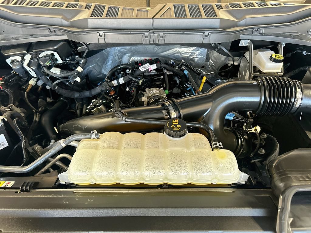 Used 2025 Ford F150 STX w/ Equipment Group 200A RWD image 26