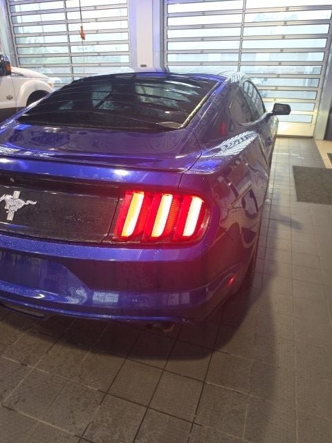 Used 2015 Ford Mustang Coupe w/ Equipment Group 051A RWD image 9