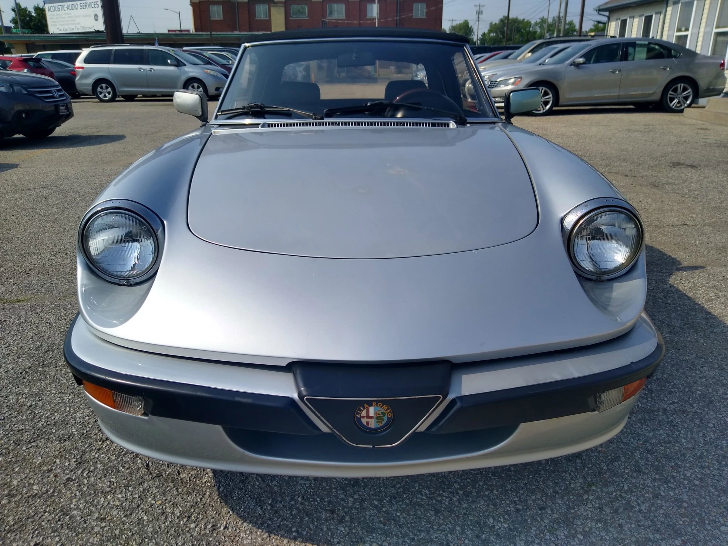 Used 1988 Alfa Romeo Spider Quadrifoglio image 7