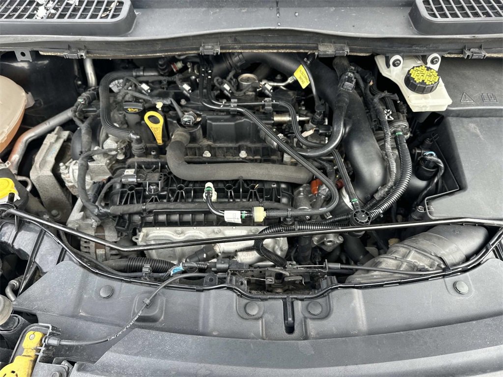 Used 2019 Ford Escape SE image 11